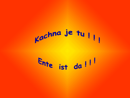 und so furzen alle meine Entchen... a takhle prdí kacenky...